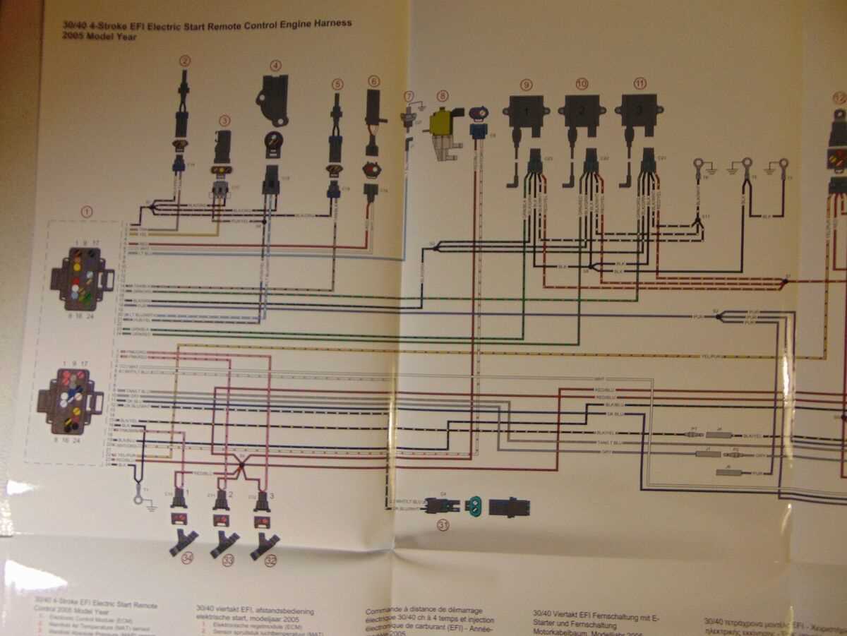 2 stroke 50 hp mercury outboard wiring diagram