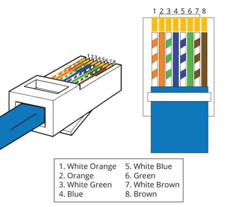 cat 5 jack wiring diagram