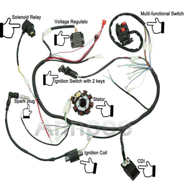 pit bike wiring diagram