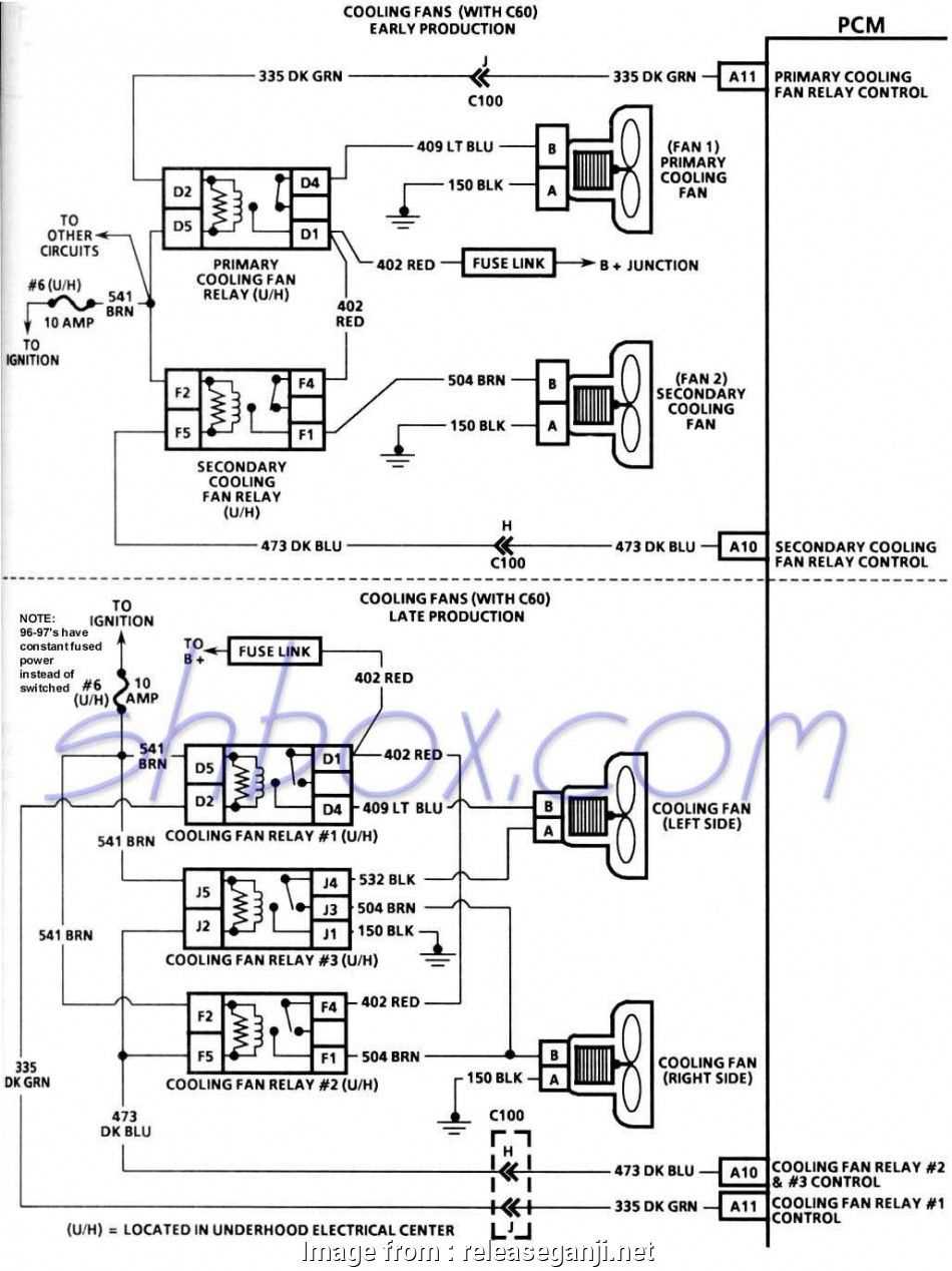 ls1 wiring diagram