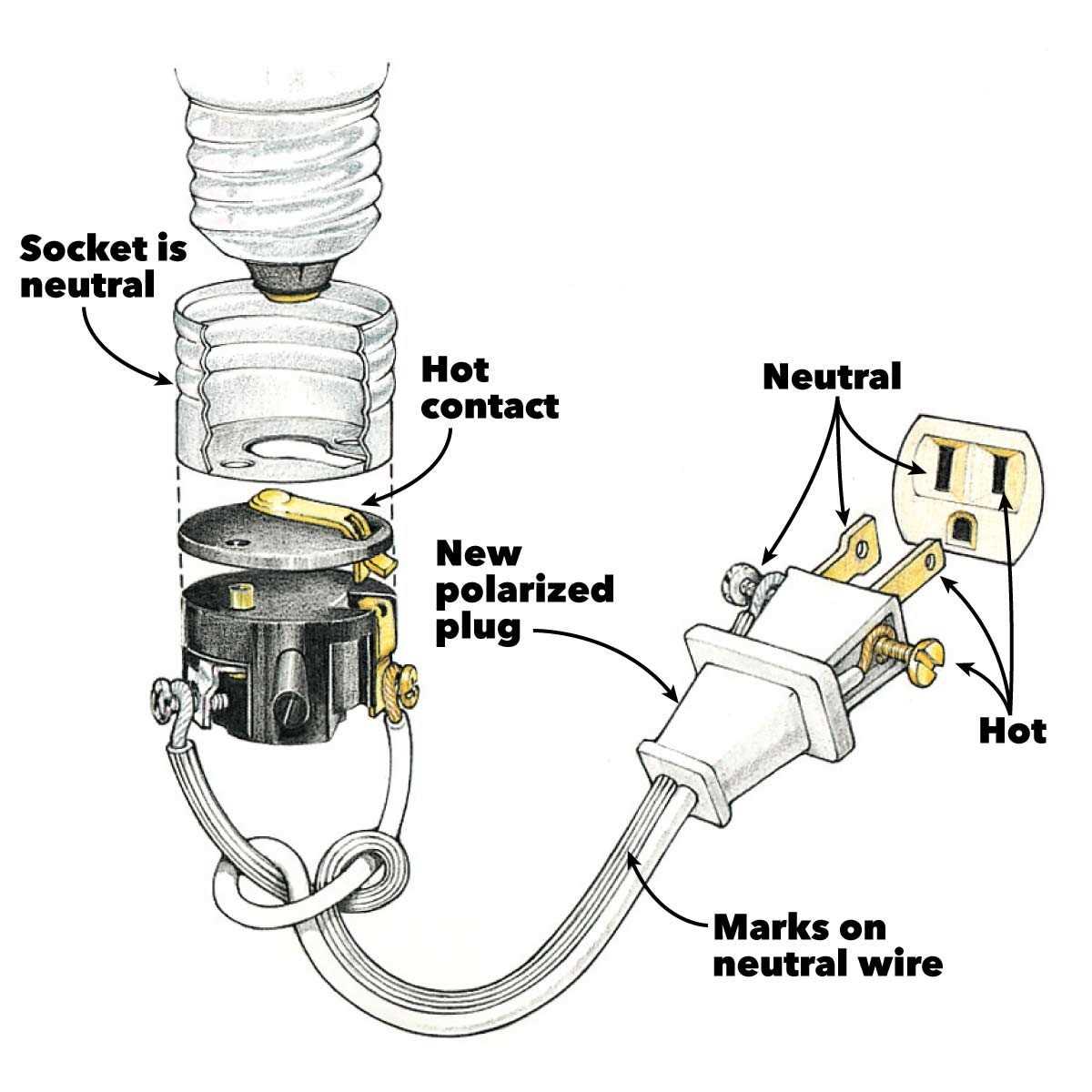 plug wiring diagram