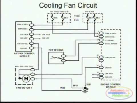 90 113 fan control center wiring diagram