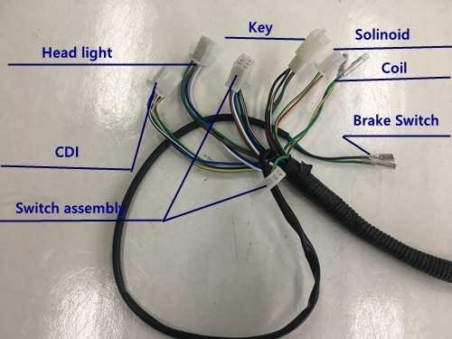 chinese 110 atv wiring diagram