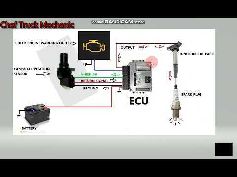 diagram 3 wire camshaft position sensor wiring harness