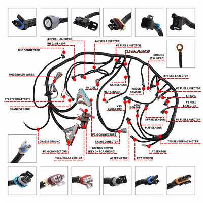 ls1 wiring diagram