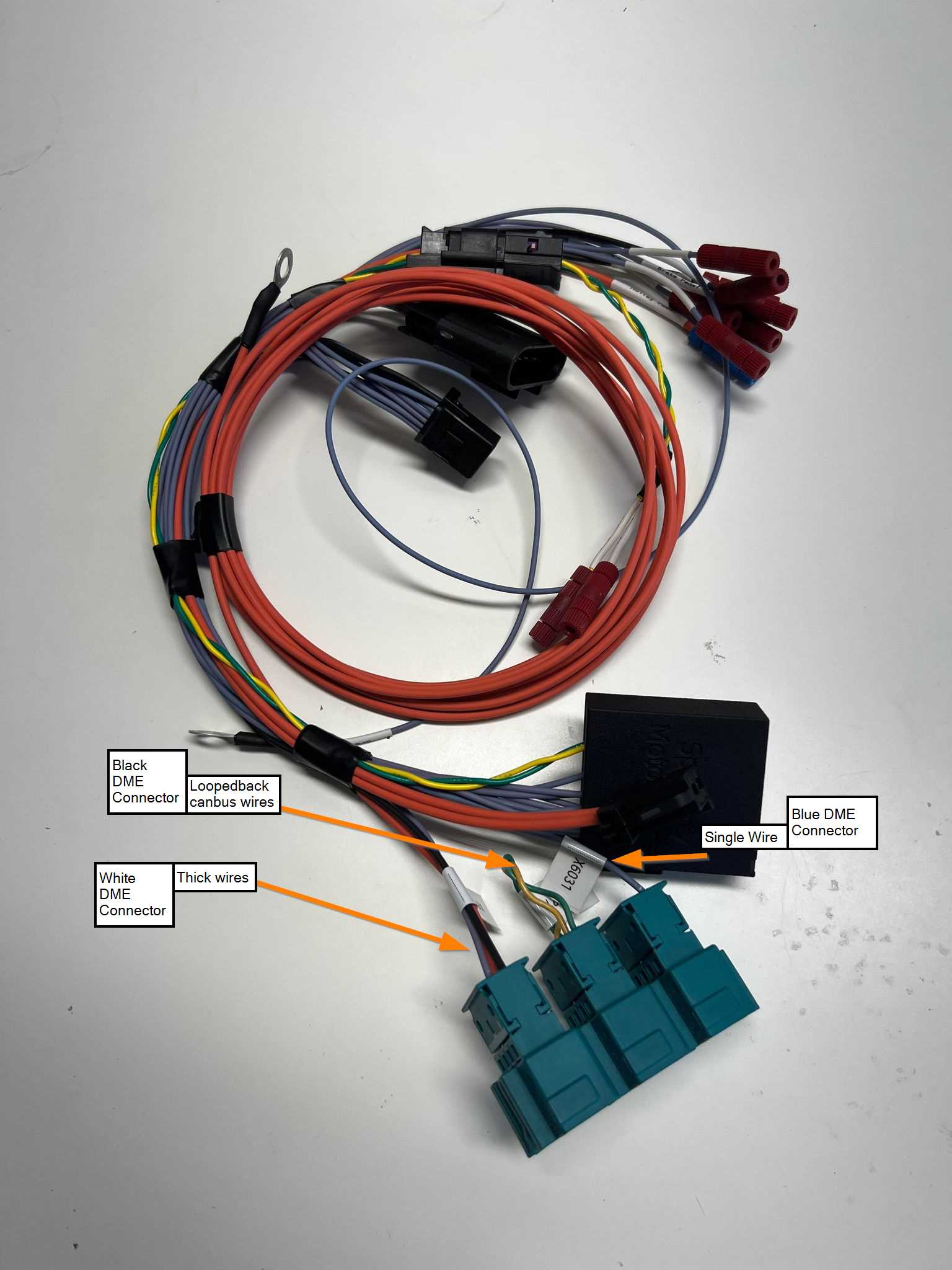 terminator x max wiring diagram