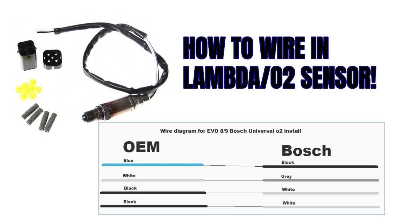 bosch 5 wire o2 sensor wiring diagram