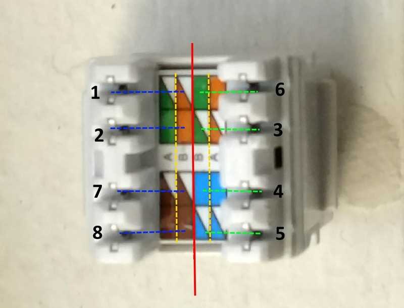 cat5e keystone jack wiring diagram a or b