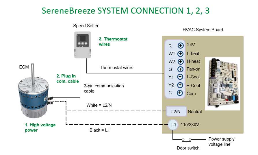 ecm wiring diagram