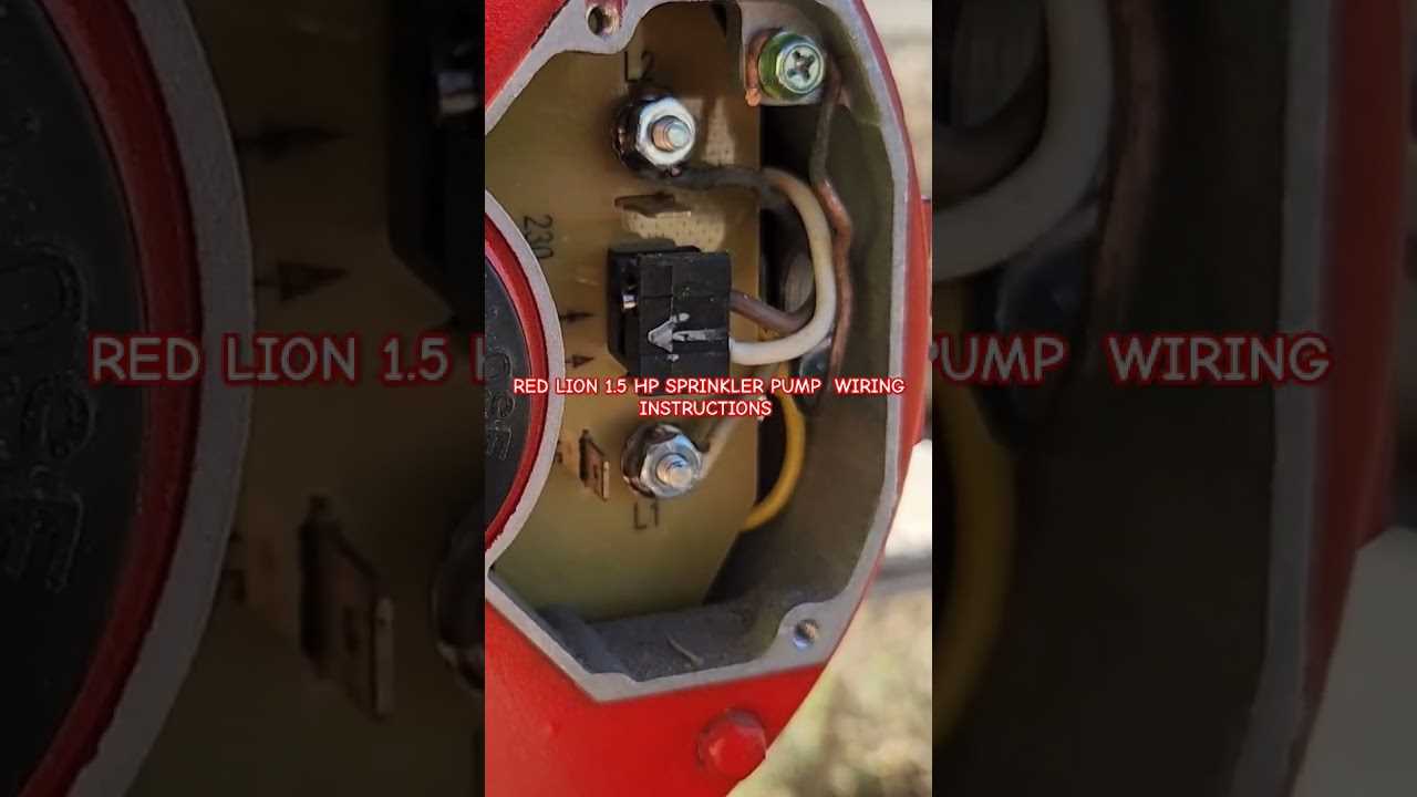 red lion 1.5 hp pump wiring diagram