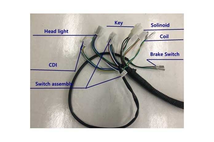 110 chinese atv wiring diagram