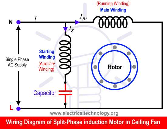 single electric fan wiring diagram