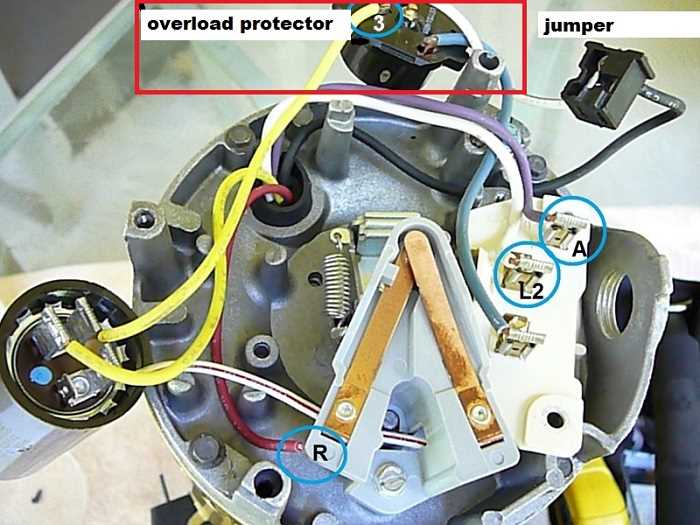 115v pool pump wiring diagram