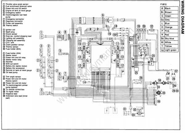 mercruiser tilt and trim switch wiring diagram