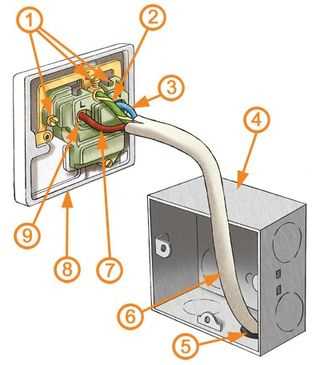 wall socket double plug socket wiring diagram