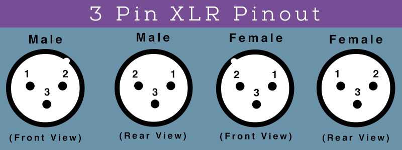 xlr connector wiring diagram