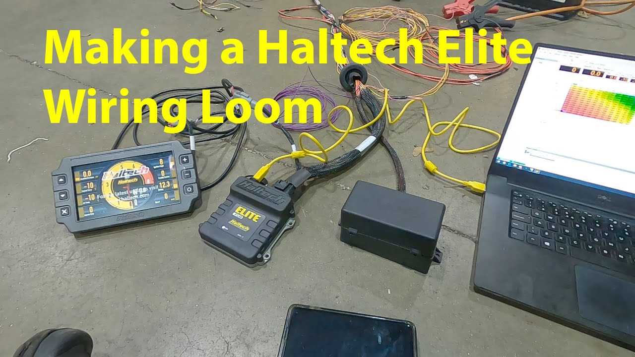 haltech elite 1500 wiring diagram