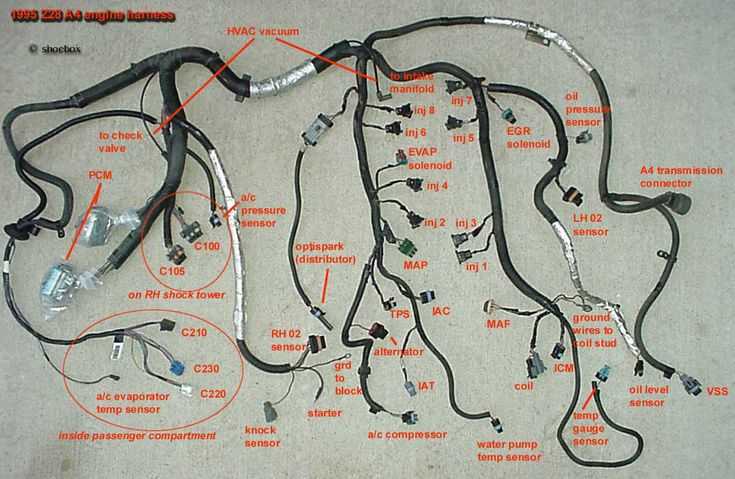 engine wiring harness diagrams