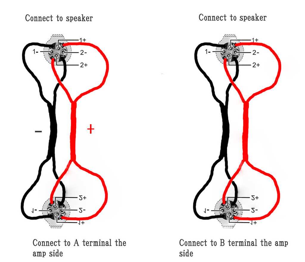 speakon plug wiring diagram