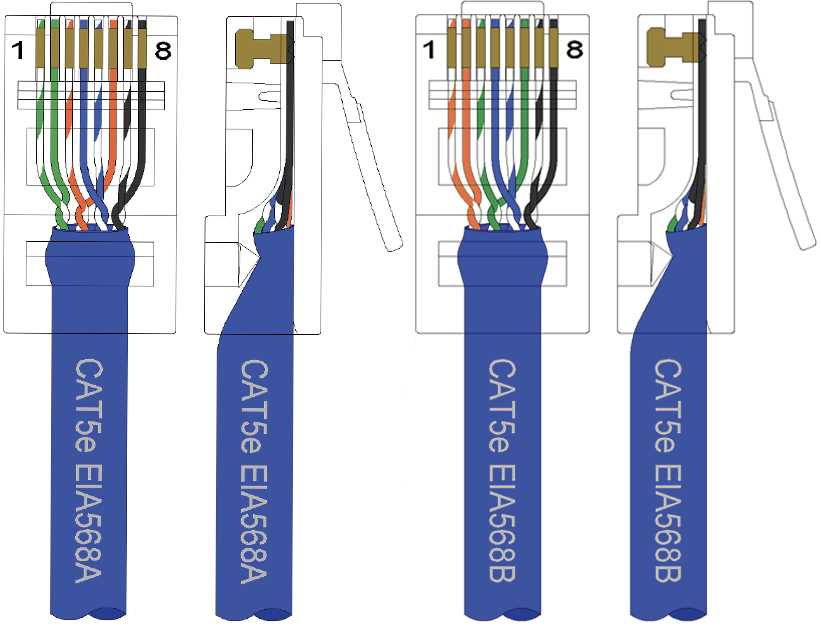 cat 5 jack wiring diagram