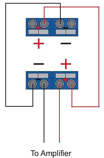 dual sub with built in amp wiring diagram